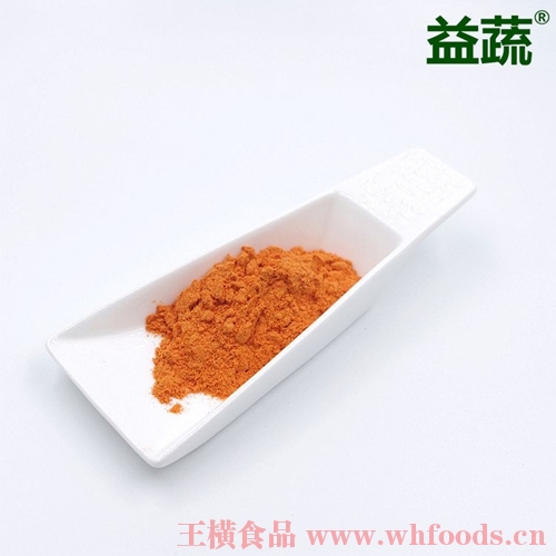 太倉脫水番茄粉